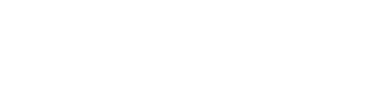 The Entertainment Safety Company